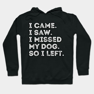 I Came I Saw I Missed My Dog Dog Owner Lover Pet jokes Hoodie